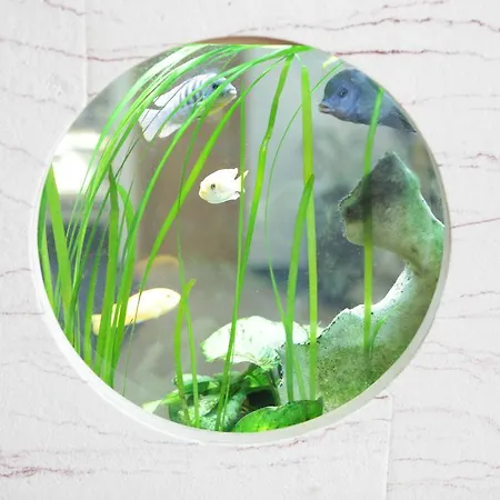 ホテル シュタットホテル